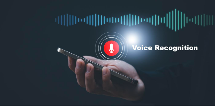 Voice Search Optimization SEO